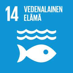 14. Vedenalainen elämä