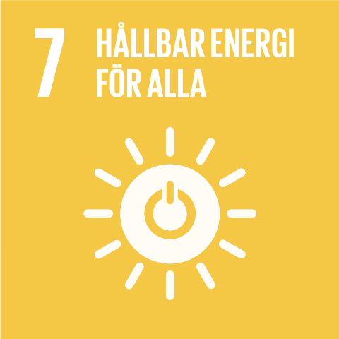 7. Hallbar energi för alla