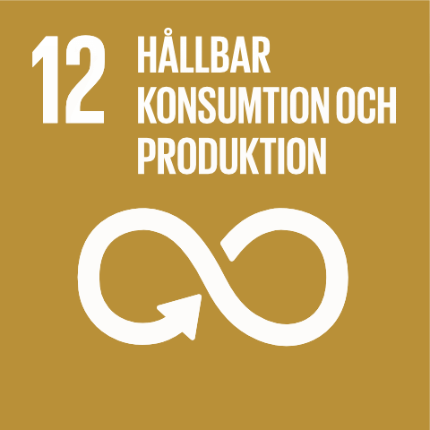 12. Hållbar konsumption och produktion