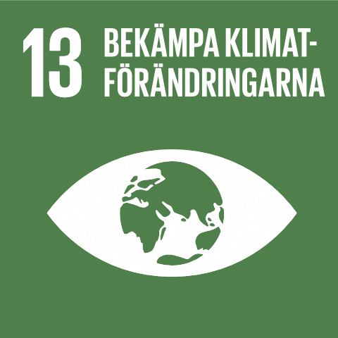 13. Bekämpa klimatförändringen