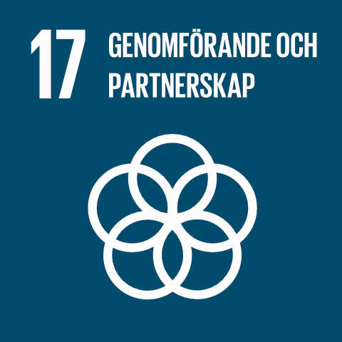 17. Globalt partnerskap för hållbar utveckling