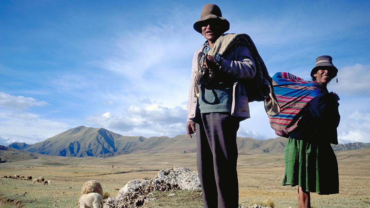 Pariskunta paimentaa lampaita Andien vuoristoylängöllä